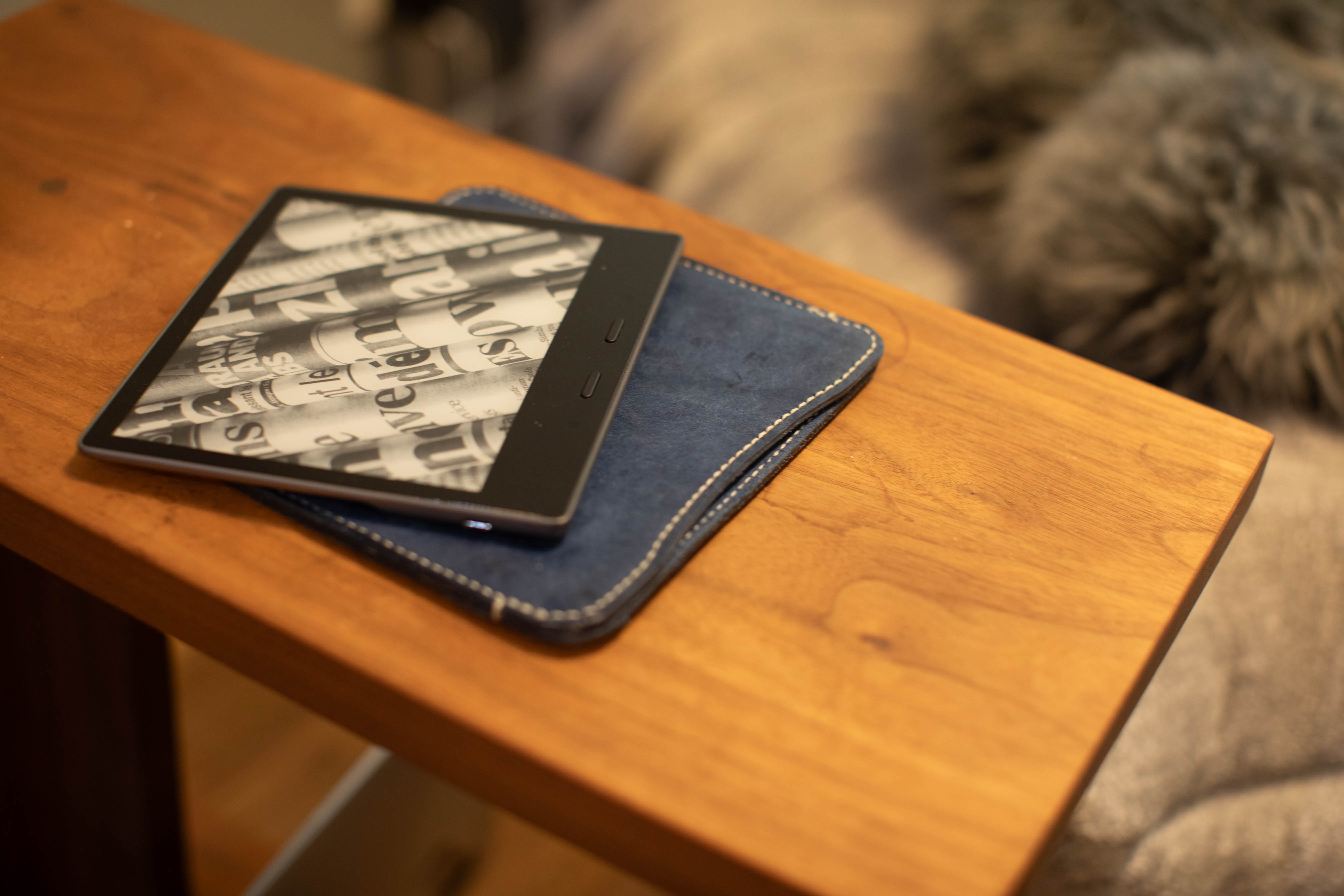 kindle case